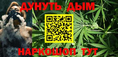 тгк Гай