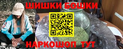 кокс Гатчина