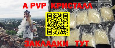 тгк Гай